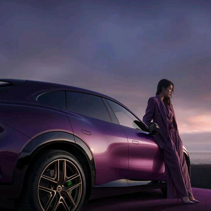 洛阳泉舜小米汽车世林