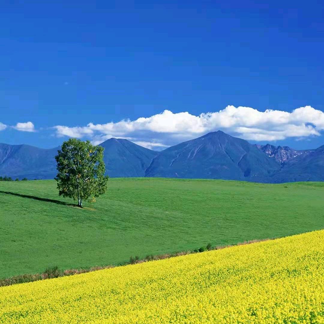 大连山水