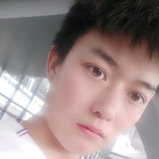 随风挥手
