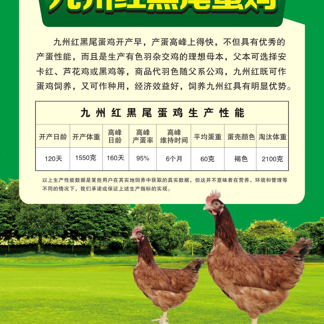 河南沐恩家禽育种有限公司