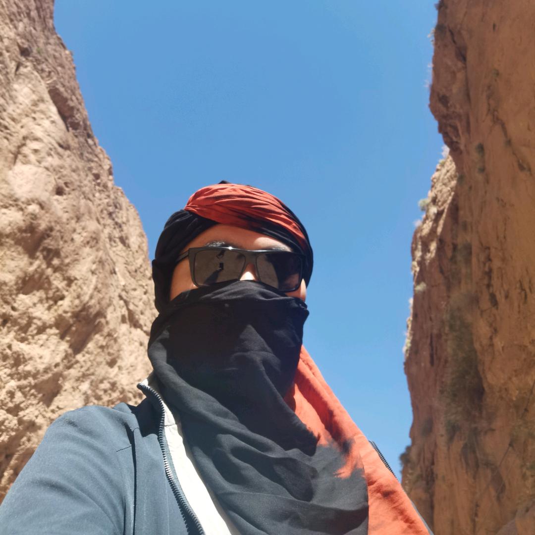 Tiger(泰戈尔)雷老虎