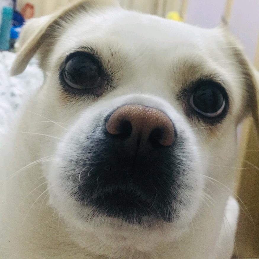 大爷有低保
