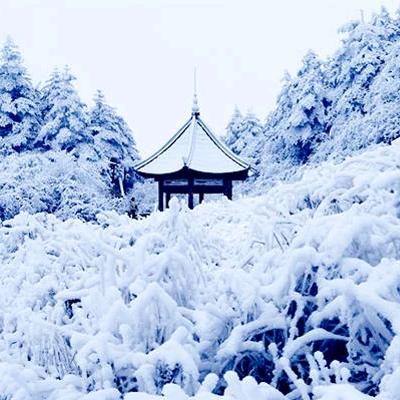 没有雪的冬天