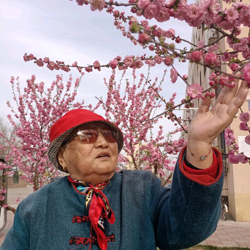 老英雄