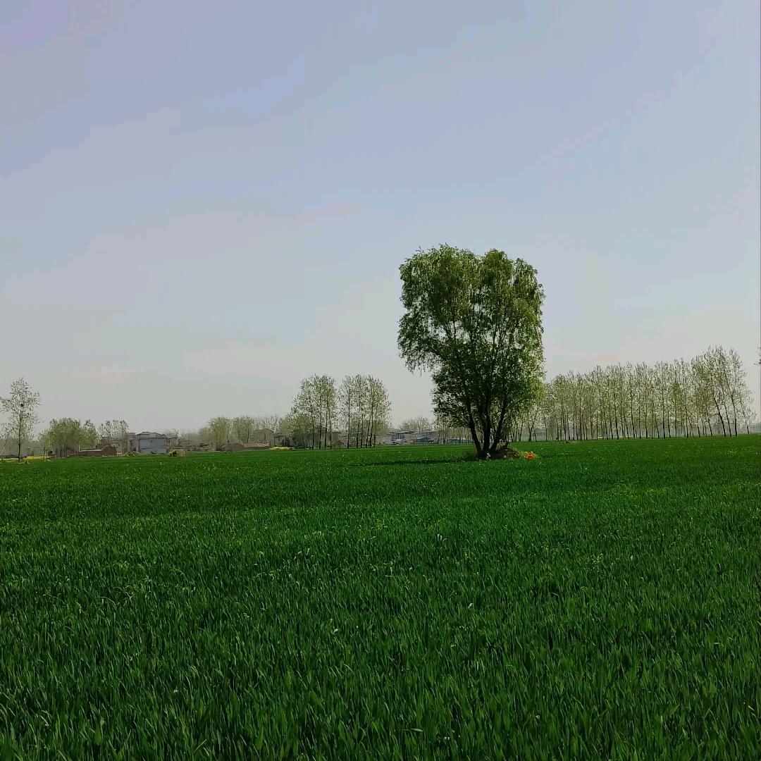 骆国康