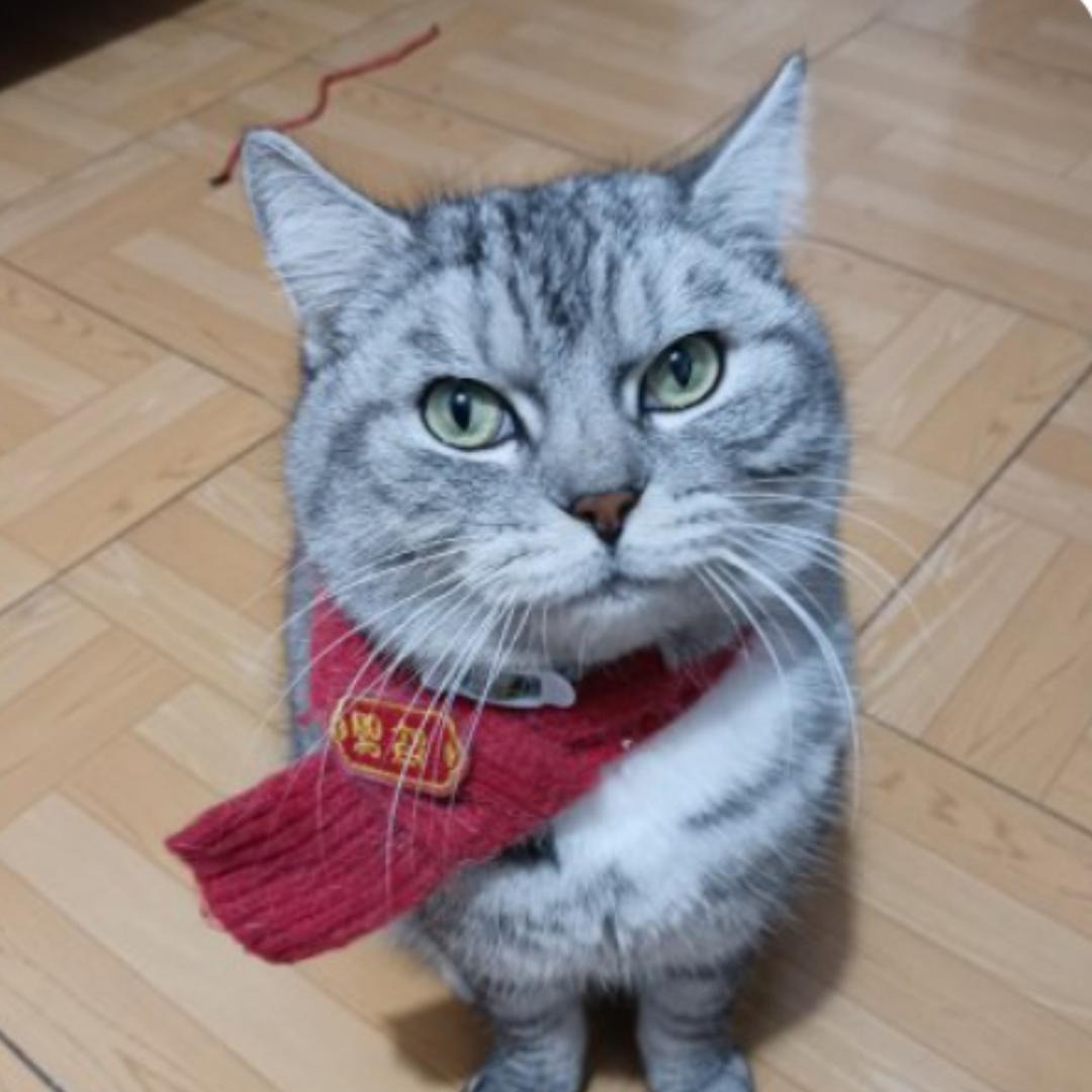 叮咚