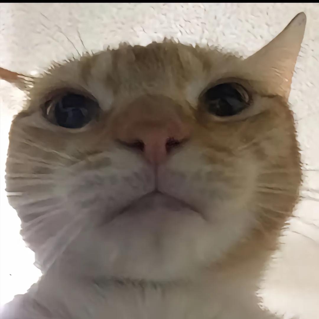 得吃鼠鼠