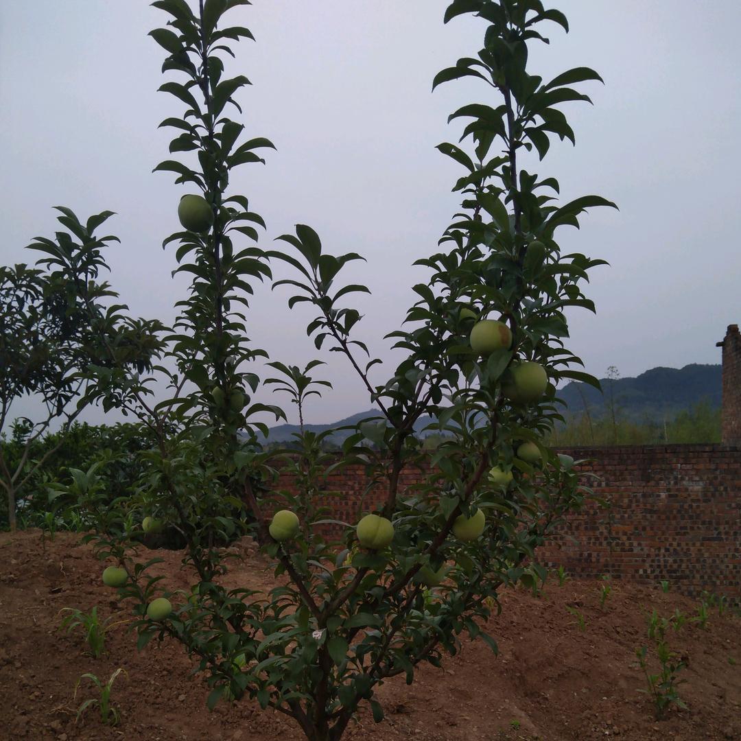 j简简单单