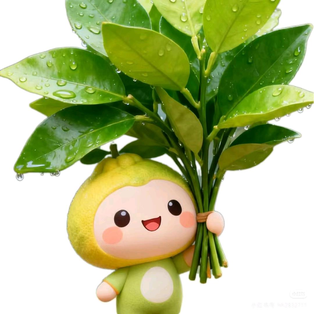 山有木兮木有枝