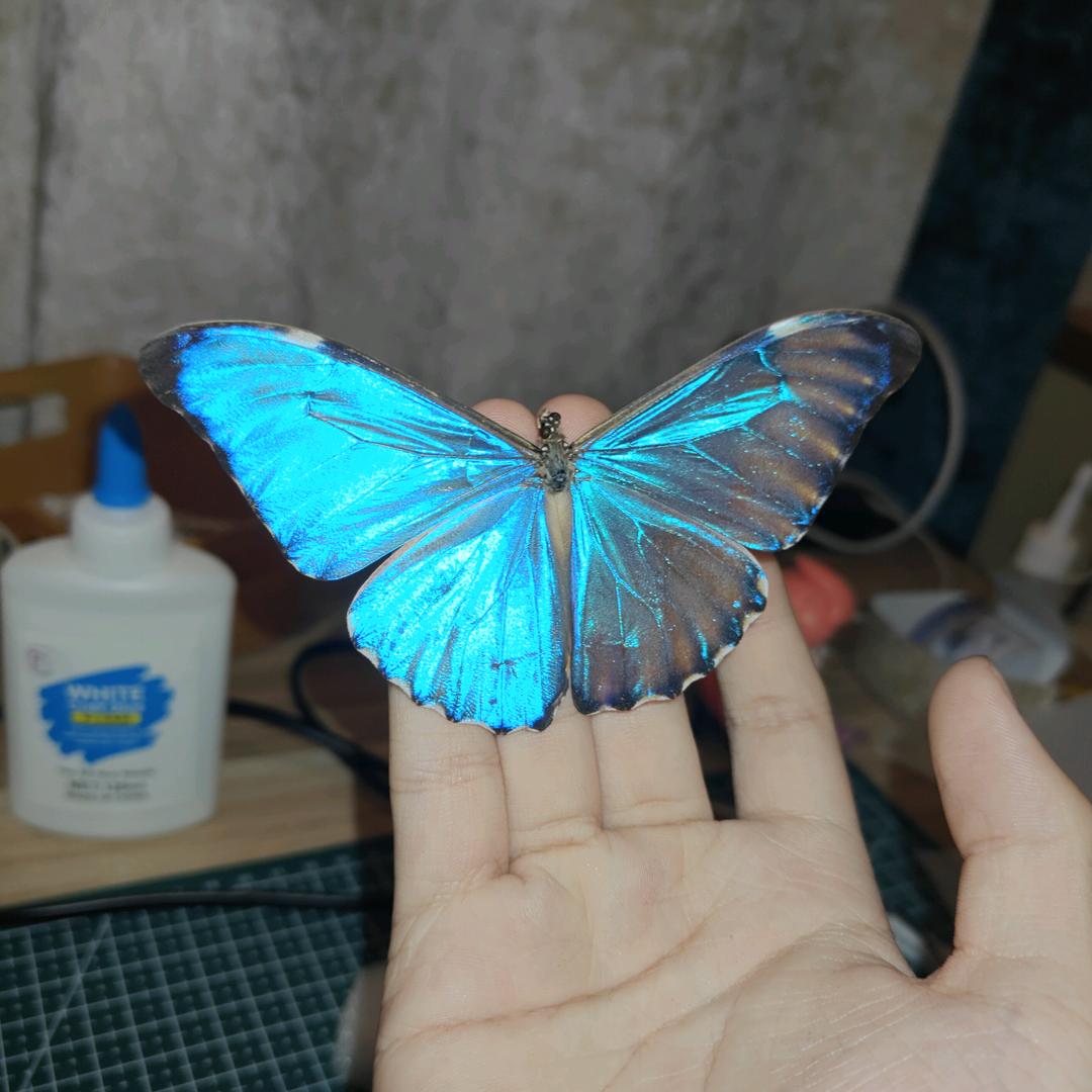 梵高...