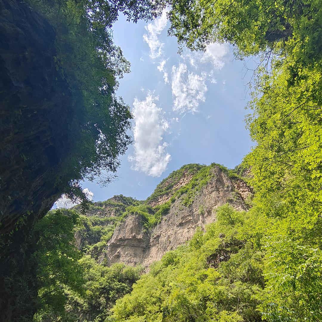 咱就是个卖菜的