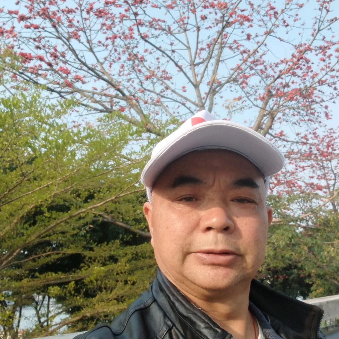 日月同辉