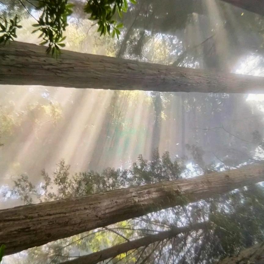 成都康坚维爽网络信息科技有限公司