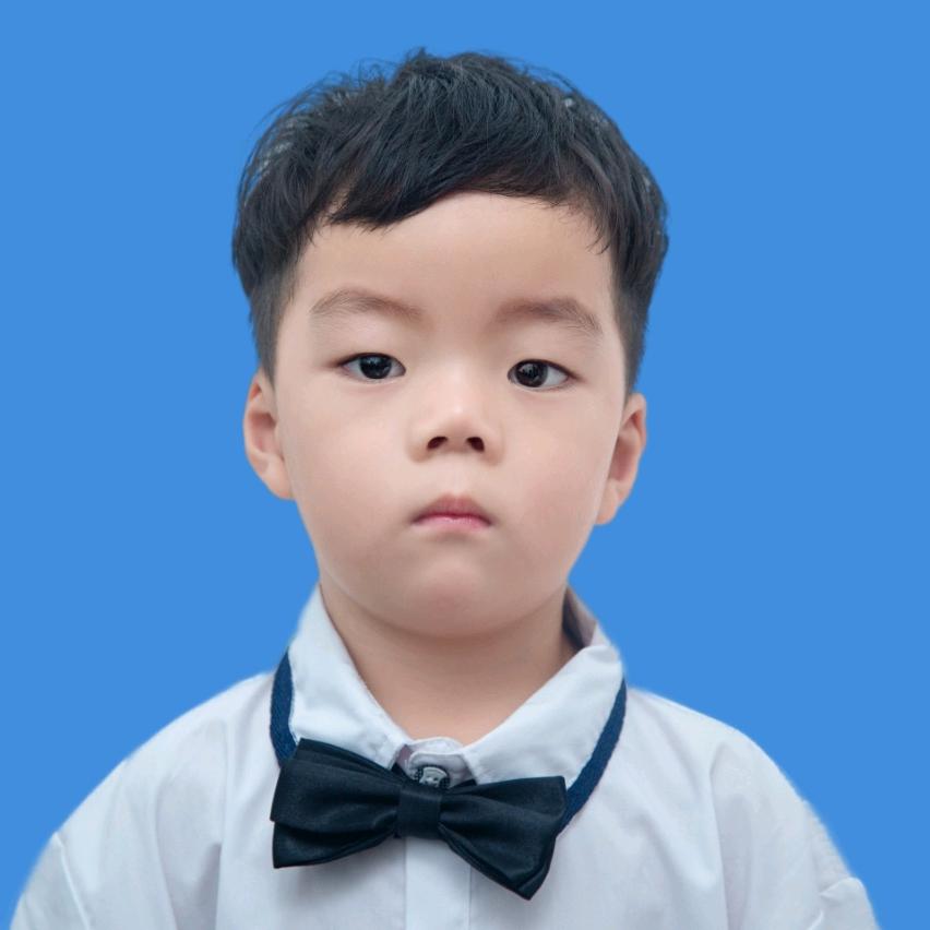 影