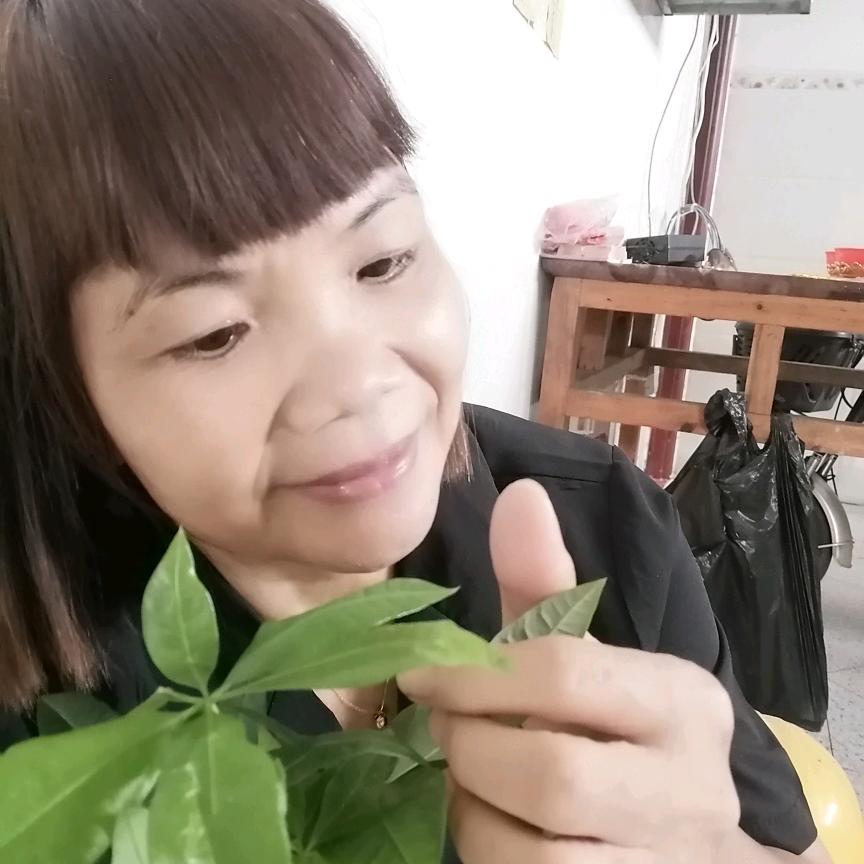 农凤珍