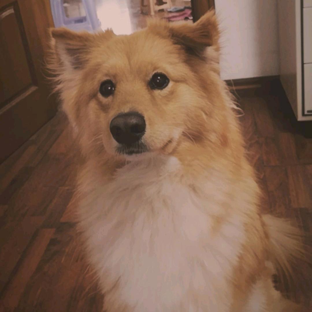 (๑•̀㉨•́ฅ✧ 早