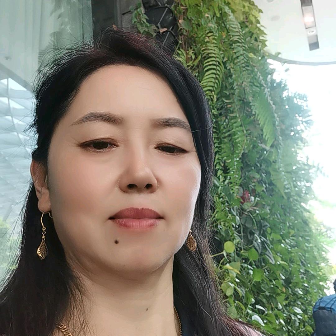 绿壳，黄羽粉蛋鸡苗