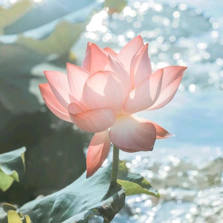 快乐乐✧٩