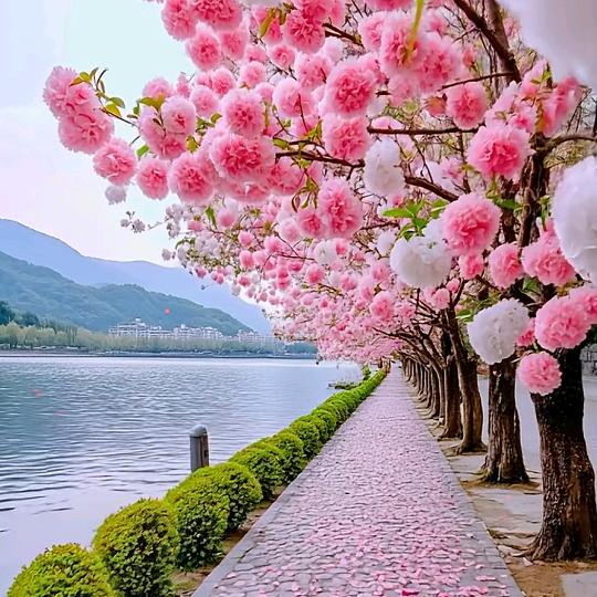 @艳子🧚‍♀️