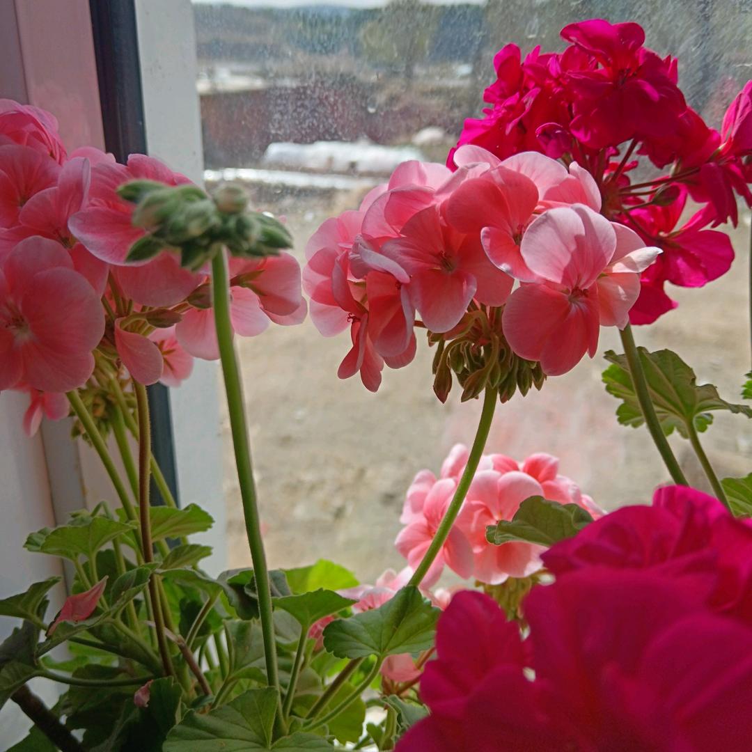 蜜蜜姐