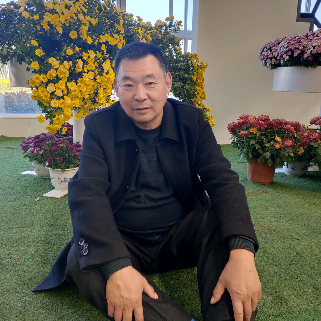 雄鹰飞舞