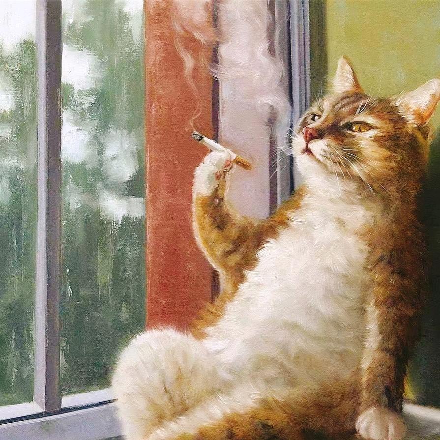 橘猫₍˄·͈༝·͈˄*₎◞ ̑̑