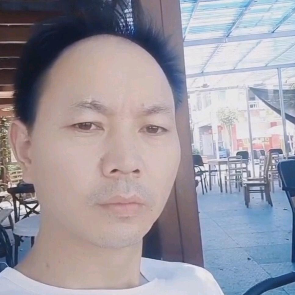 向来缘浅奈何情深