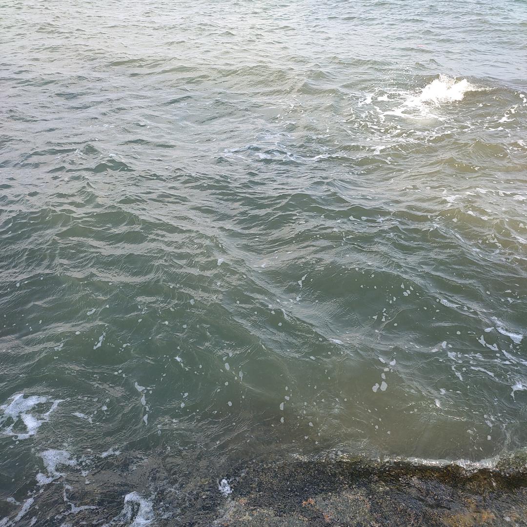 我叫什么名字来着