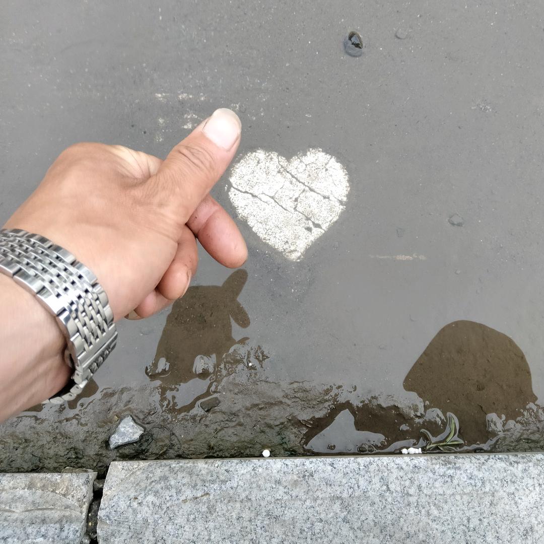 忍冬난