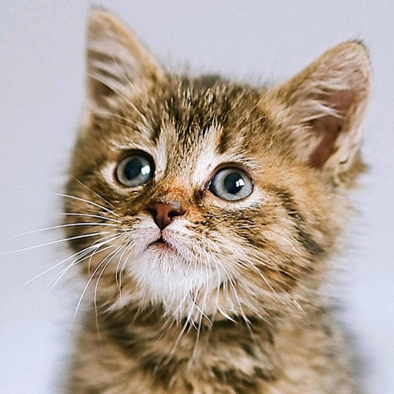 ღ᭄💖ღ余生᭄爱ღ自己᭄ꦿ꯭💖