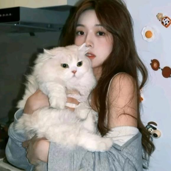 华玖沫yu