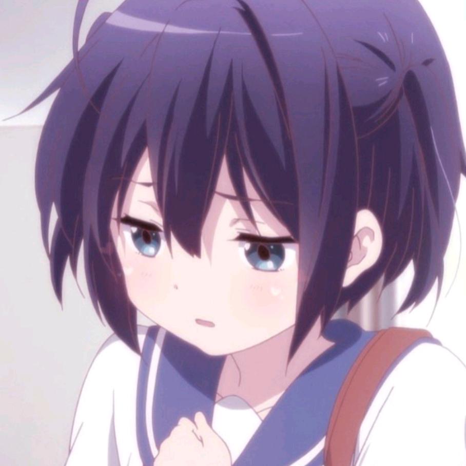 进口鹅