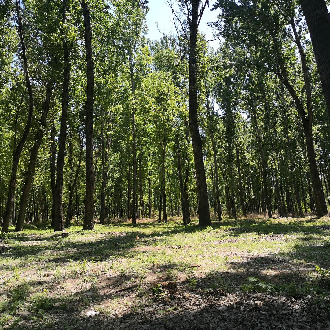 丽都大良快捷宾馆