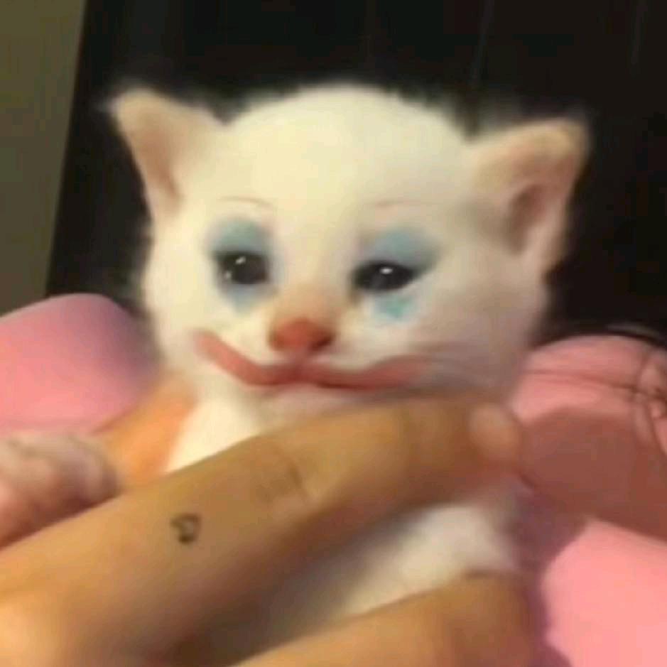 Joker ゛（猫猫版）