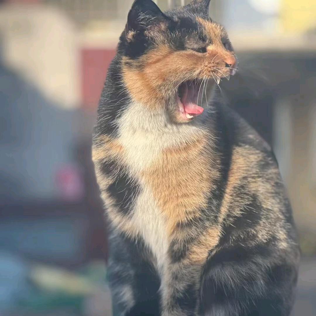 美多多玻璃制品