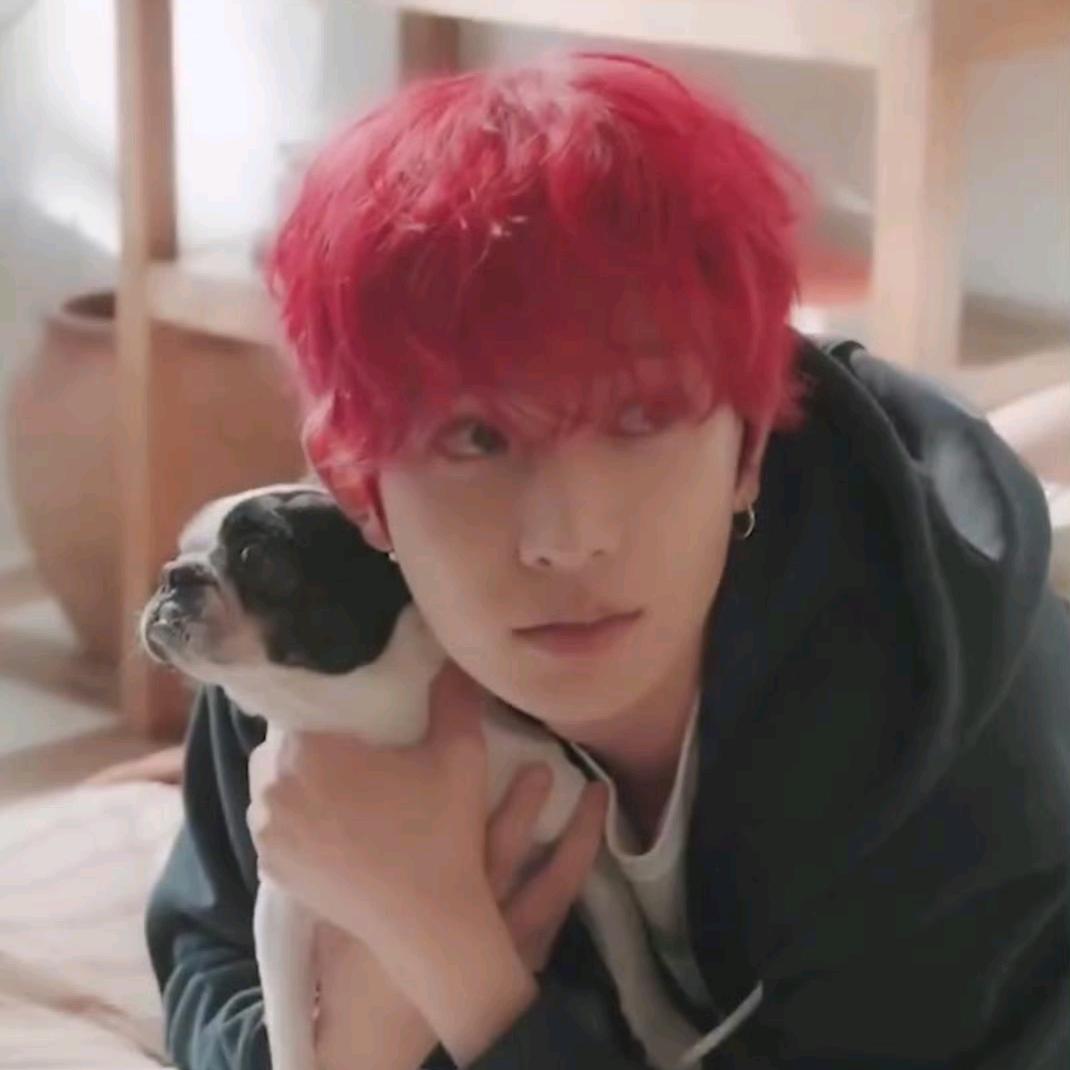 爱喝承汁૮ ˙Ⱉ˙ ა