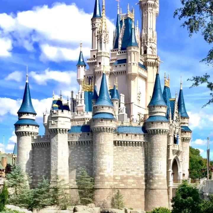 🦋ঞ梦幻の蝴蝶₅₂₀💞࿐