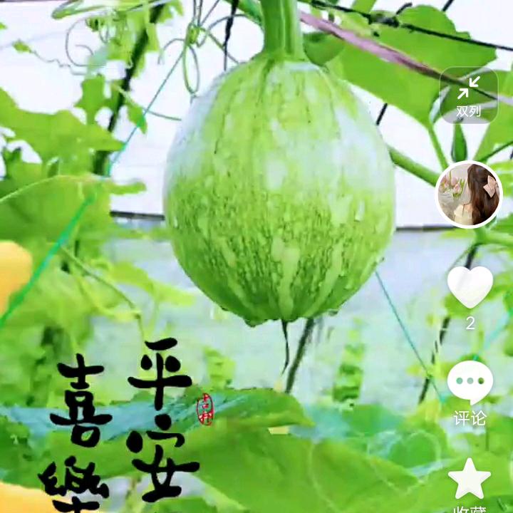 书张流年