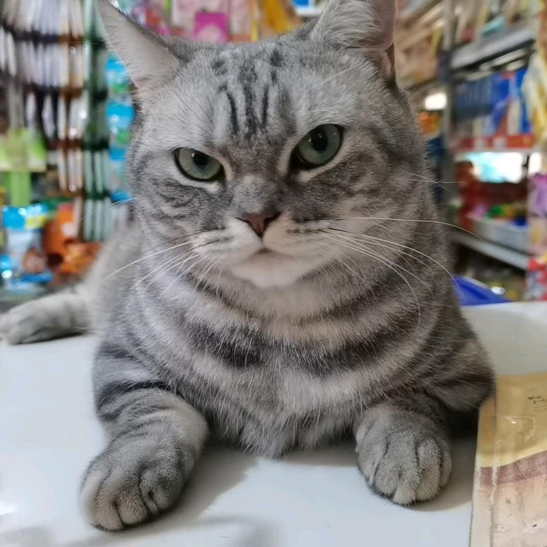 玩闹