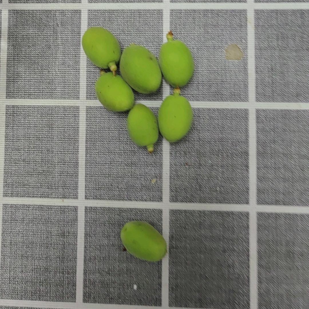 洋洋2
