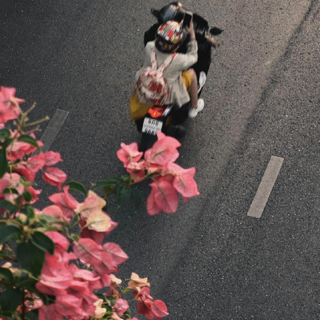 煎蛋要溏心꒰｡ › ·̮ ‹ ｡꒱