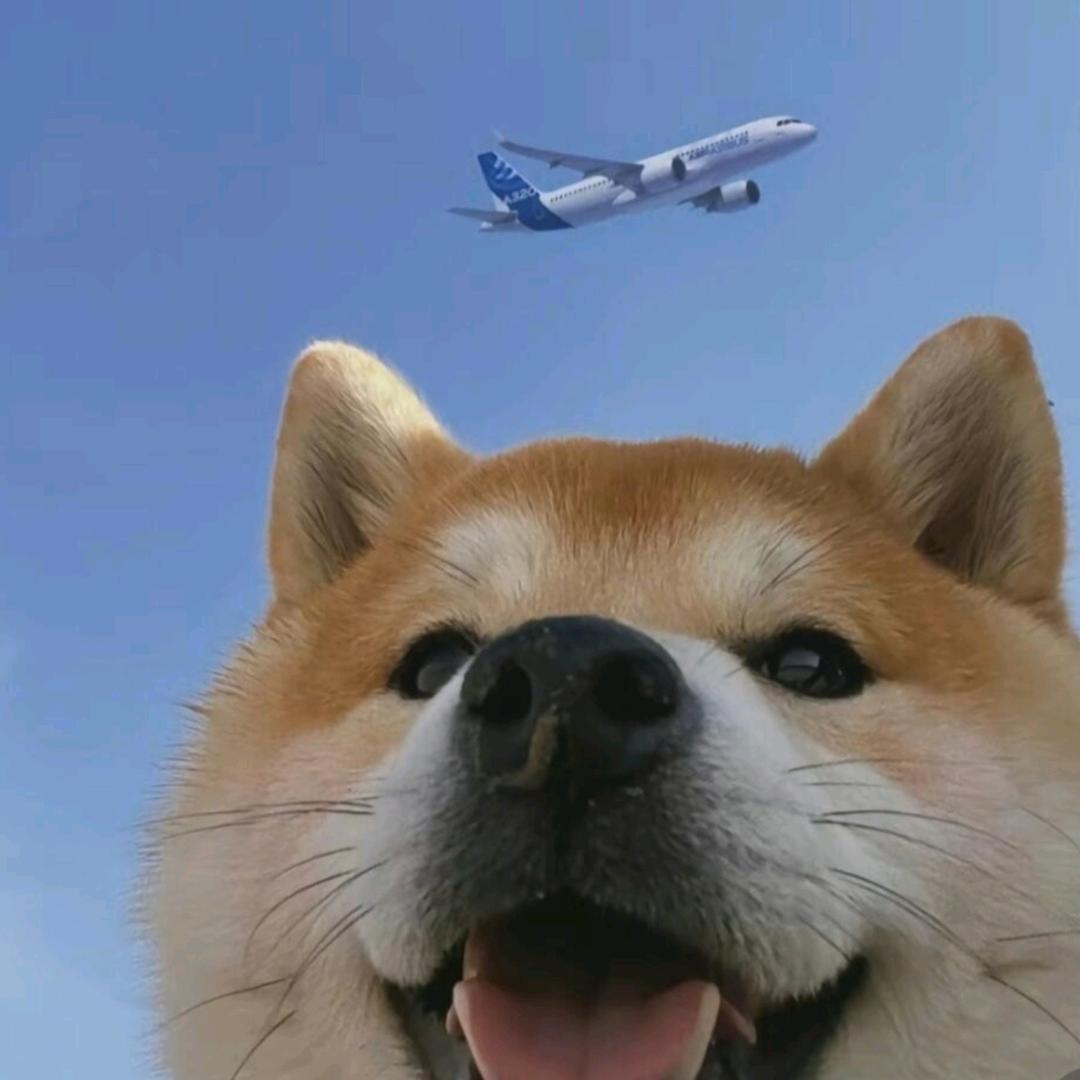 第几页