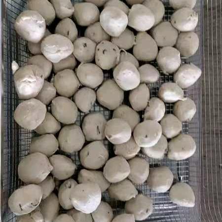 潮汕牛肉丸
