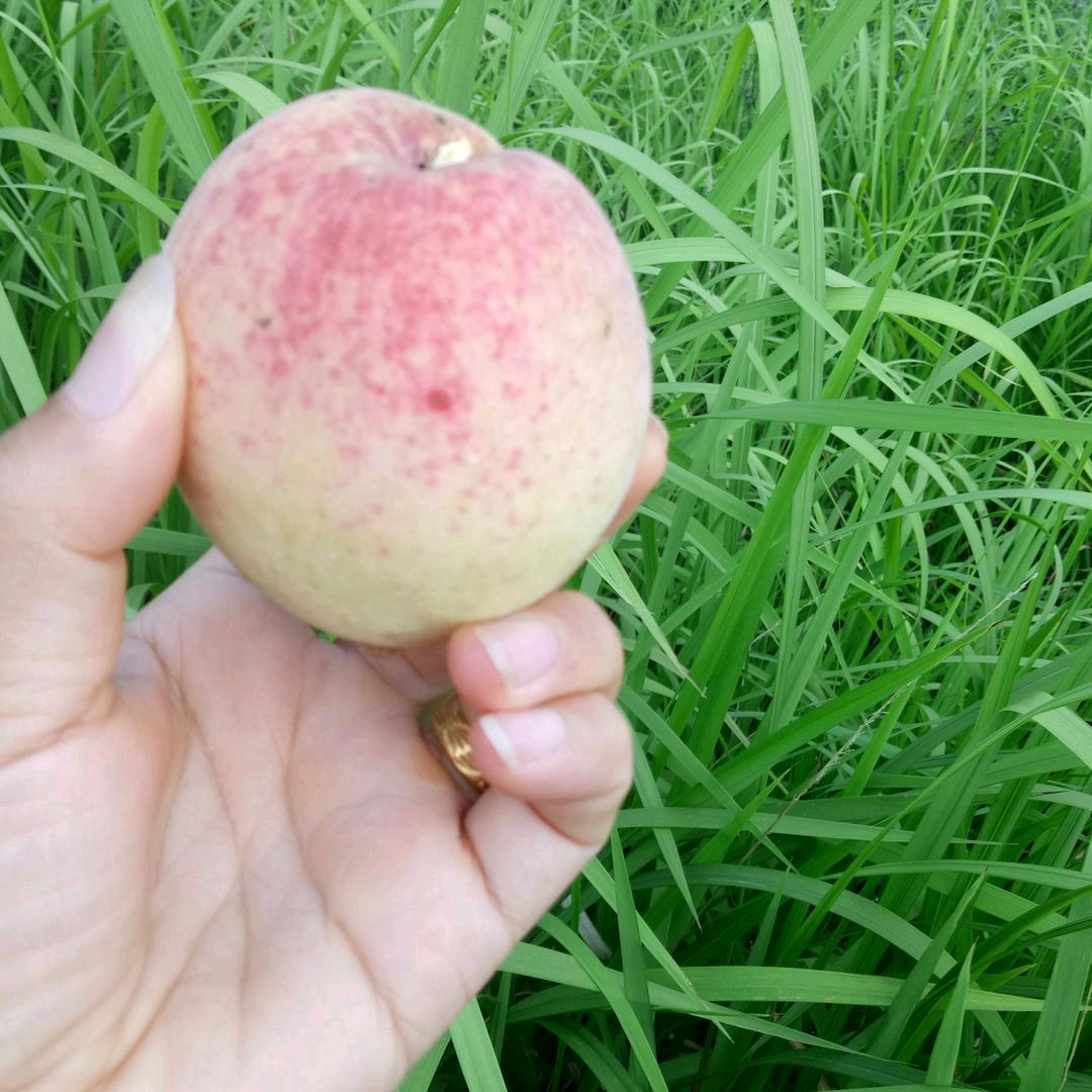 💞强容杰潇💞张💞