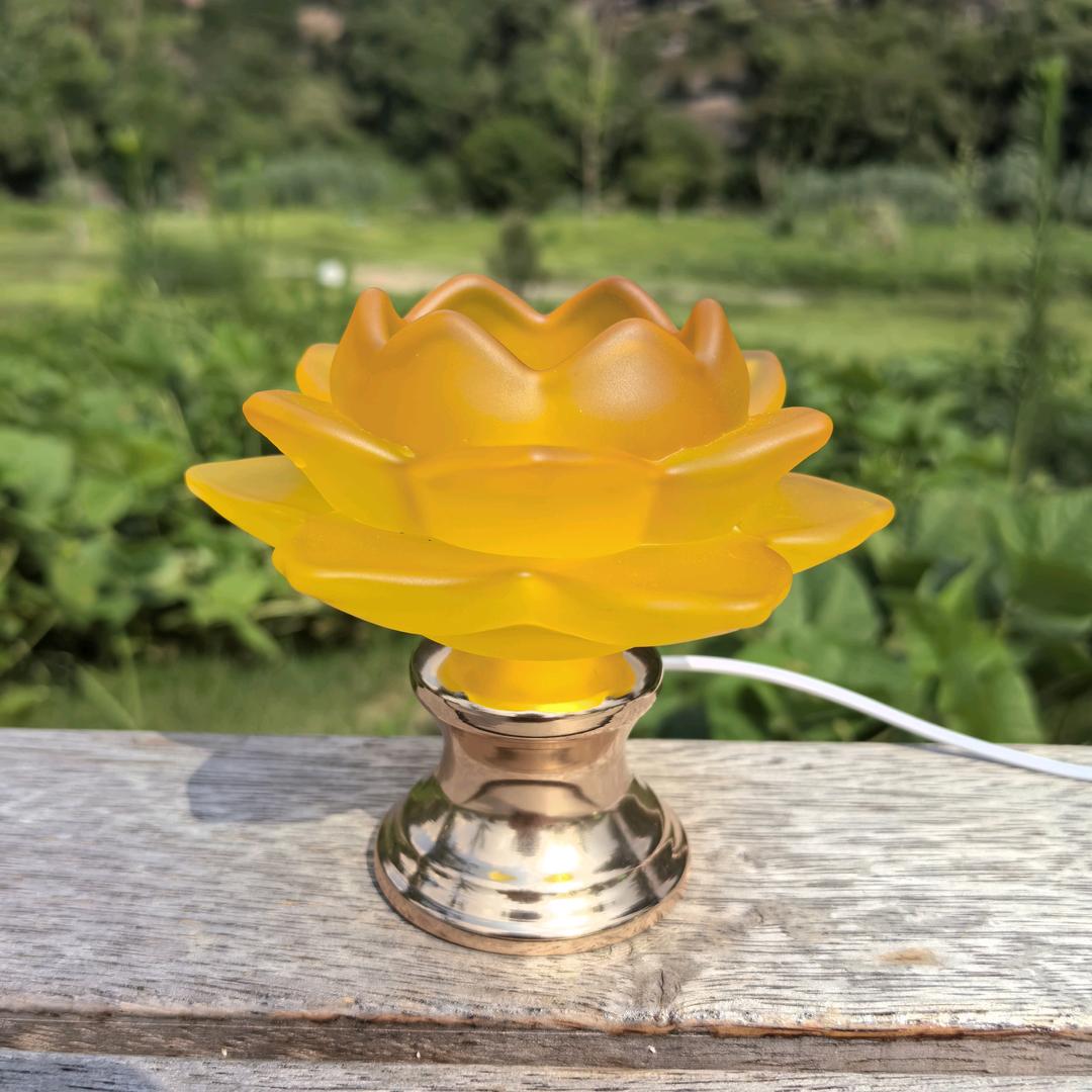 中山东易灯饰厂