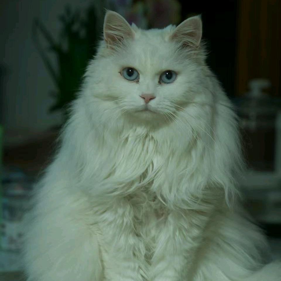 十八楼C座 电☆台