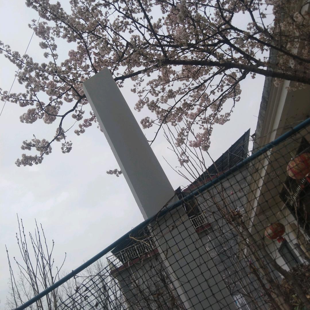 洒脱过去，奔向未来