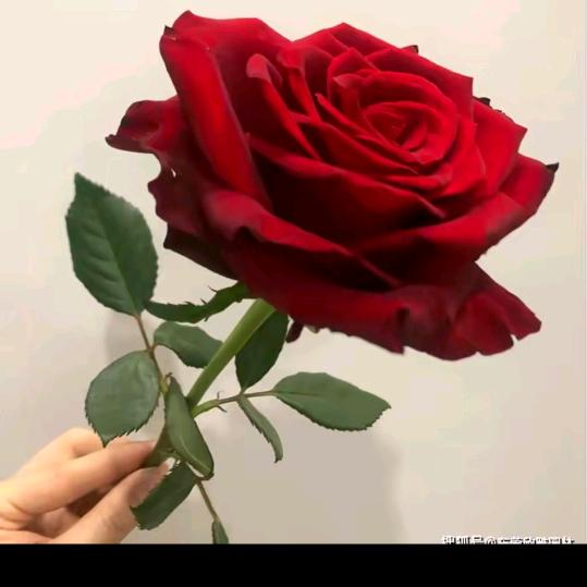 顺其自然。。。。。。