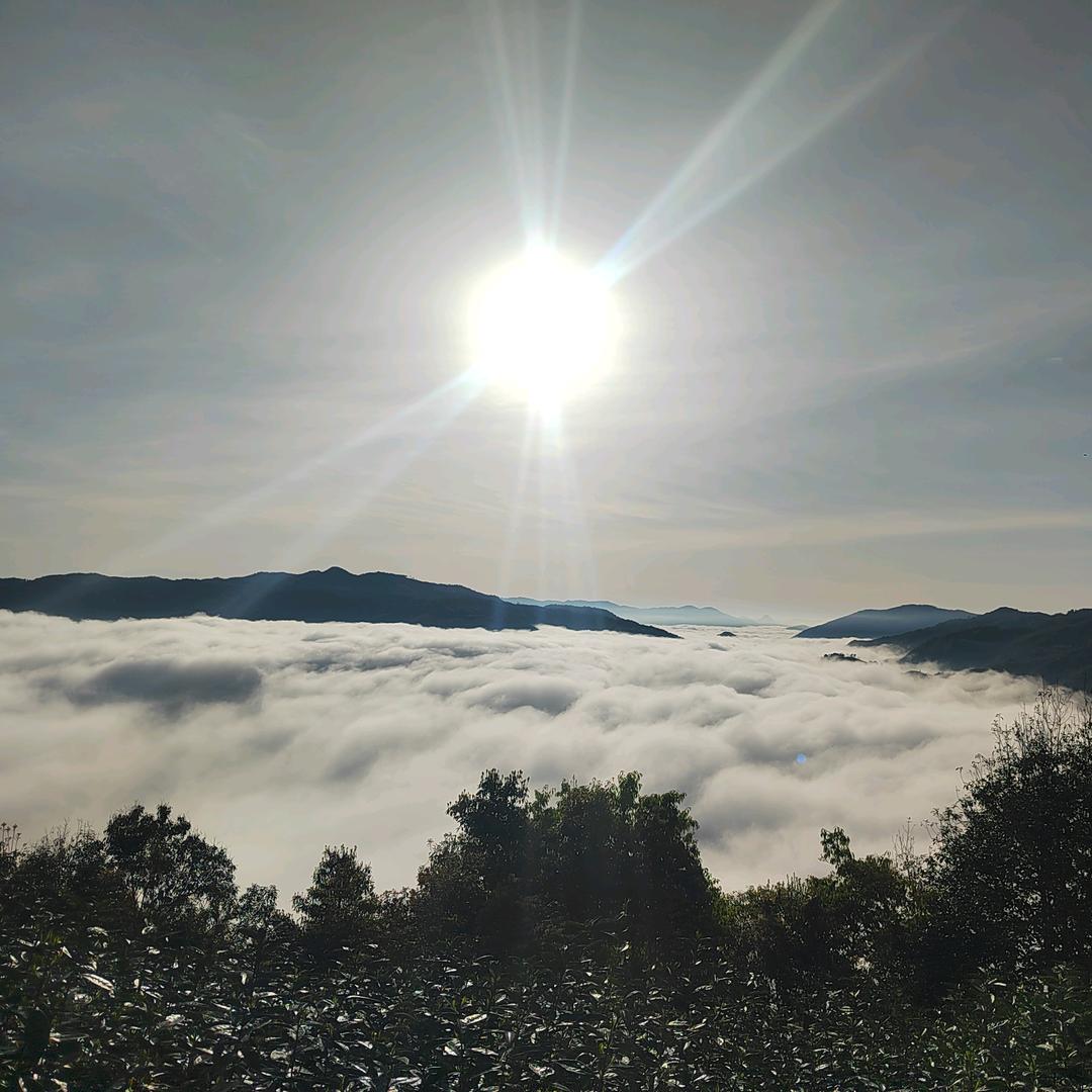 鞍山，姑爷说！