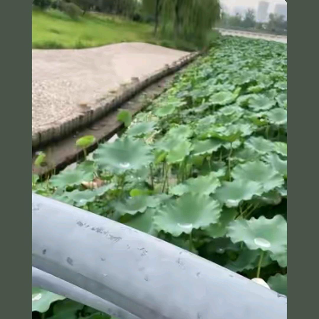 珍惜缘